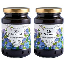 마이노멀 블루베리잼, 320g, 2개