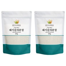 서울아레나 국내산 돼지감자 분말, 300g, 2개