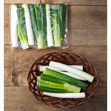 친환경 절단대파, 300g, 1개