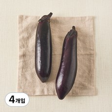 친환경 가지, 2개입, 2개