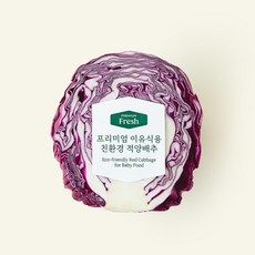친환경 인증 프리미엄 이유식용 적양배추, 200g, 1개입, 1개