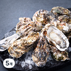 남해안 산지직송 망에서 키운 쪄먹는 제철 석화, 2kg, 5개