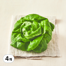 국내산 무농약 버터헤드레터스, 90g, 4개