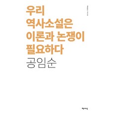 우리 역사소설은 이론과 논쟁이 필요하다(리커버), 책세상, 공임순