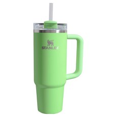 STANLEY 台灣公司貨 冒險系列 吸管隨手杯2.0, 880ml, 粉彩綠, 1個