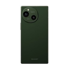 SHARP 夏普 AQUOS R9 5G 智慧手機 6.5吋, 森之綠, 256GB