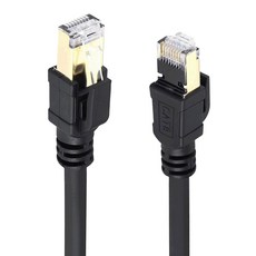 DTAudio 高速網路線 Cat.8, 黑色, 10m, 1條