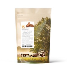 감성먹거리 브라질너트, 500g, 1개