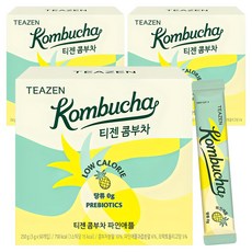 티젠 콤부차 파인애플, 5g, 50개입, 3개