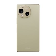 SHARP 夏普 AQUOS R10 12G, 晶鑽米, 512GB