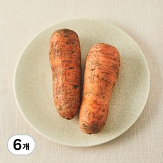 친환경 흙당근, 2입, 6개