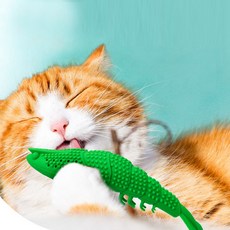 DING DONG PET 貓狗自助蝦形牙刷 + 貓薄荷 2入 + 鈴鐺組, 綠色(牙刷), 1套