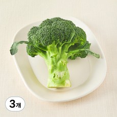친환경 제주 브로콜리, 250g, 1개입, 3개, 250g