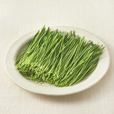 친환경 보리순, 50g, 1개
