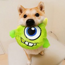 로라펫 크레이지통통 반려동물 장난감 13 x 9 x 12 cm, 그린, 1개