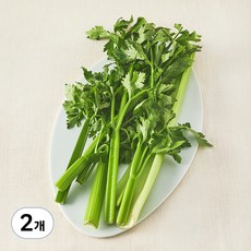 국내산 친환경 셀러리, 150g, 2개
