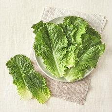 친환경 로메인, 70g, 1개