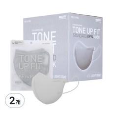 참존 톤업핏 스탠다드 황사방역용 KF94 마스크 대형, 라이트그레이, 2개, 50개입