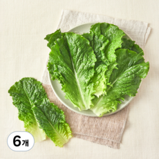 친환경 로메인, 70g, 6개