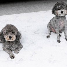 딩동펫 반려동물 미끄럼방지 롤매트, 화이트 마블, 1개