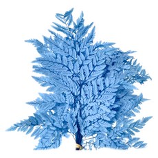 高山羊齒蕨 永生花 10支裝, 霧霾藍色
