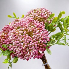 FLORAL M 居家裝飾 漿果莓紅小米果仿真花花材3件組, 1件, 紅色