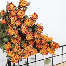 多頭玫瑰 30支, 狂歡泡泡