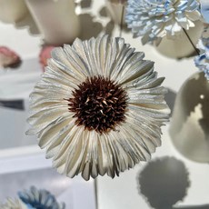 太陽花 6.5cm木漿花 10入, 渲銀