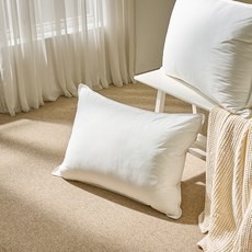 HUGUARD Micro Fillever 棉質枕芯, 2個, 白色