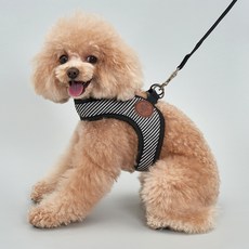 DOG-i 狗狗舒適胸背帶, 黑色