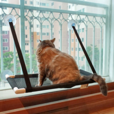 TUNT GOLF 西姆醫生貓窗吊床