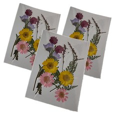 A-ONE 匯旺 真花壓花 小花包, 花花草草