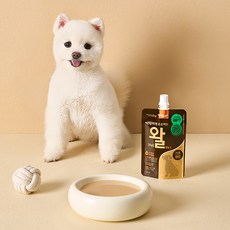 펫쿠르트 강아지 건강하개 프로젝트 왈 펫밀크, 관절+장건강, 100ml, 10개