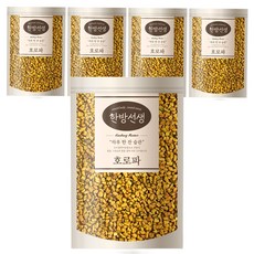 한방선생 호로파 씨앗 특품, 600g, 5개