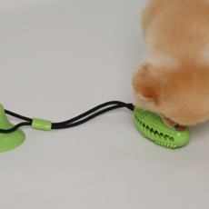 PETRONG 拖狗玩具 PTR331, 綠色, 1個