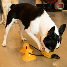 Needs the Pet. 小型犬~大型犬 吸盤式自助拔河彈力球零食玩具 22 x 6.5 x 55 cm, 單一顏色, 1個