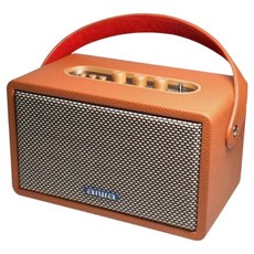 aiwa 愛華 藍芽音響 RS-X100 Natsukasii Pro, 棕色