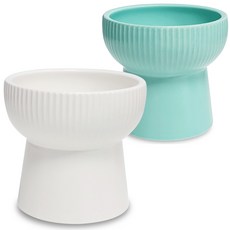 모나지오 반려동물 버티컬라인 도자기 식기 2종 세트, 화이트, 민트, 1개