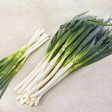 중국산 신선 대파, 10kg, 1박스