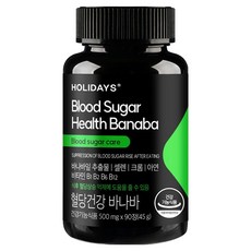 홀리데이즈 혈당건강 바나바 45g, 90정, 1개