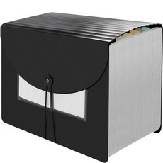 Cbucks 大容量附蓋式37格風琴夾, 半透明, 1套