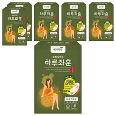 예지미인 좌훈쑥 오가닉코튼 찜질패드 5개입, 6개