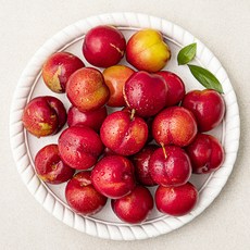이로운군위 고당도 13Brix 자두, 1팩, 1kg(소과)