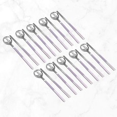 Willive 韓國產304不鏽鋼Hiel陶瓷餐具組, 勺子 10p + 筷子 10p, 紫色