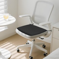 자시스 메쉬 통풍 방석, 블랙