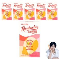 티젠 콤부차 망고구아바, 5g, 10개입, 6개