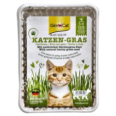 Gim Cat 俊寶俊喵 貓草 (盒裝), 田園草甸香大麥, 150g, 1盒