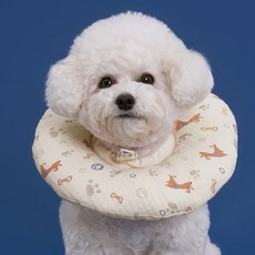 DOG-i 寵物棉花軟墊頸圈, 幼犬款