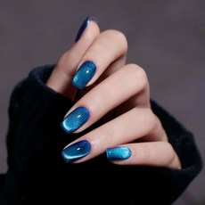 잇템샵 자석젤 네일팁 세트, 007사파이어블루, 1개