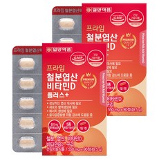일양약품 프라임 철분엽산비타민D 플러스, 90정, 2개